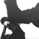 ᛝ   |  𝔛eonaphilia ⌞⊹ ࣪ ˖ Discord server icon