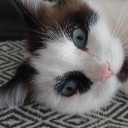 Funtime Hangout Discord server icon