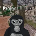 Project S3ullz