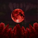 -Camp Crimson-