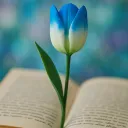 [🔒] ~ Tulip’s Secret Organization