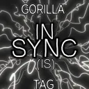 INSYNC || Gorilla Tag Competitive