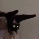 Yoku