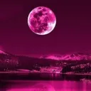 The Night Mare