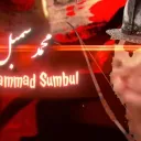 Mohammad Sumbul and the gang of cats