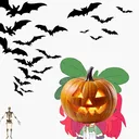 The Pumpkin Patch