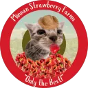 Minoan Strawberry Farms