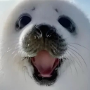 North Florida Discord server icon