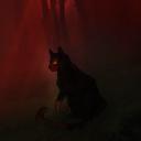 WARRIOR CATS — FALLING STARS