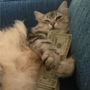 Богатов Famq