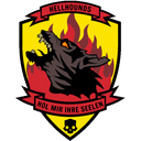 14th Stormdiver Division