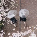 cherry   ₊   upl portal   ✿   ﹒