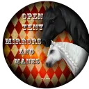 𝓜𝓲𝓻𝓻𝓸𝓻𝓼 𝓪𝓷𝓭 𝓜𝓪𝓷𝓮𝓼 - Open Tent