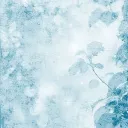 ౨ৎ   ,  🎐  ;  sһіᥒzі    ✦    SLOW REVAMP