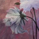 ⋆Nele´s art Studio⋆