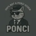 Ponci's server