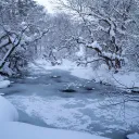 ᐟᐟ ⟢  Plural Palace!  ❄ ˚. ᵎᵎ