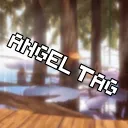 Angel Tag