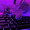 cryptedGAMES