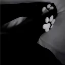 001