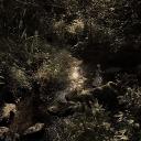 Penumbra! •pjsk •social •ar...