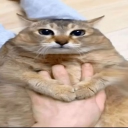 ʜᴀᴠᴇɴ🪱⸝꙳.˖ Discord server icon