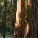 AAA Discord server icon