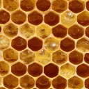 Bee Hive