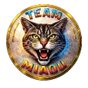 TEAM MIAOU