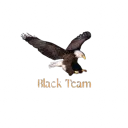 BlackTeam ORGANISATION