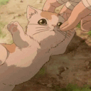 Garden of Felines/GOF⋆ ° ꩜.ᐟ