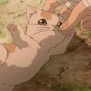 Garden of Felines/GOF⋆ ° ꩜.ᐟ