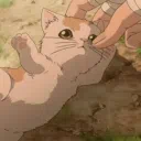 Garden of Felines/GOF⋆ ° ꩜.ᐟ