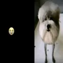 CRUMBCORD
