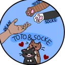 Die Katzen