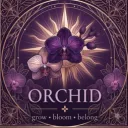 Orchid ✿