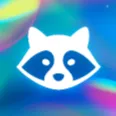Racoon Studio