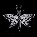 ⋆. ̊  ༘⋆  InnyWymiar Discord Server Icon