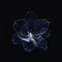 ♡ ⸻ 𝐁𝐋𝐄𝐒𝐒𝐄𝐃 discord icon