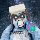 KdoggVR’s basement