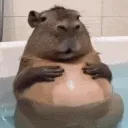 Capybara Productions