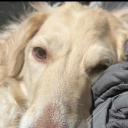 Redundant Chatters Discord Server