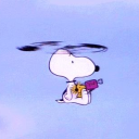 붕붕 Discord server icon