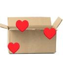 Cardboard Lovers