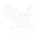 Lobos Fight Club - Glasgow