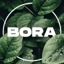 BORA CHEATS