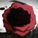 ✠━━━༺𝐔𝐧𝐝𝐞𝐚𝐝 𝐋𝐨𝐫𝐞༻━━━✠ Discord server icon