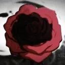 ✠━━━༺𝐔𝐧𝐝𝐞𝐚𝐝 𝐋𝐨𝐫𝐞༻━━━✠