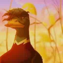 Duck Premium Inc.