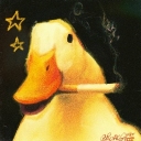 Duck Premium Inc. Discord server icon